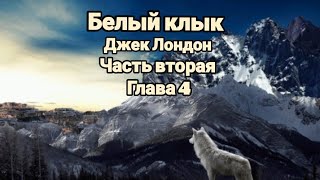 quotБелый клыкquotДжек ЛондонЧасть втораяГлава 4 [upl. by Shlomo]