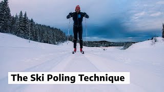 Norways first doctoral dissertation on XC ski poling technique [upl. by Marigolde726]