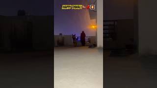 Happy Diwali Guys 🪔🧨baffy diwali love cute pet puppy ram doglover trending viral green [upl. by Olumor]