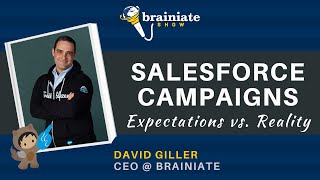 Salesforce Campaigns  Expectations vs Reality [upl. by Aneram]