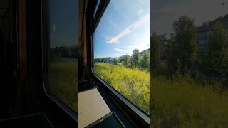 Passing Trains and Scenic Views A Journey Through Germany HighSpeedTrain TravelVlog Germany [upl. by Akkim]