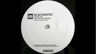 Octave One  Blackwater Kevin Sauderson String Instrumental Mix [upl. by Enayr]