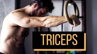 Meilleur exercice pour les TRICEPS callisthénie [upl. by Ahsiyn]