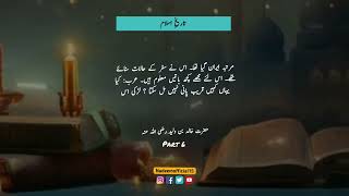 Hazrat Khalid Bin Waleed R A Part 6  Urdu Islamic History history historyofislaminurdu [upl. by Legge]