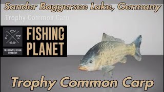 Fishing Planet Trophy Common Carp Sander Baggersee Lake Germany Guide [upl. by Kenon889]