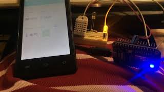 Termostat cu NodeMCU pe server Cayenne [upl. by Anadal]