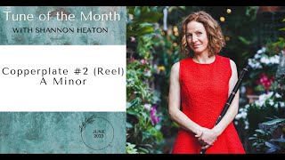 Copperplate 2 Reel  Tune of the Month with Shannon Heaton [upl. by Tuppeny]