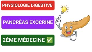 PHYSIODIGESTIVE🍔 PHYSIOLOGIE DU PANCRÉAS EXOCRINE 2ÈME MÉDECINE ✅Unité2🧆👅 [upl. by Levitan10]