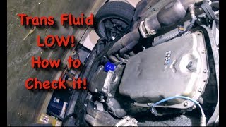 Transmission Fluid Low How to check a 6L80 transmission fluid [upl. by Dorcas]