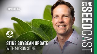 Stine Soybean Update with Myron Stine [upl. by Prunella]