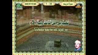 Abdulbasit Abdussamed  Meryem suresiHD [upl. by Cotterell]