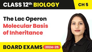 The Lac Operon  Molecular Basis of Inheritance  Class 12 Biology Chapter 5  CBSE 202425 [upl. by Kynan]