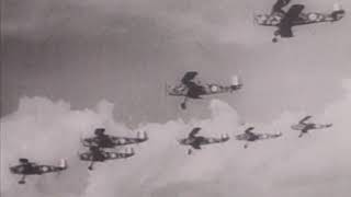 Baron Von Richthofen The Red Baron  Full Documentary [upl. by Bremser]