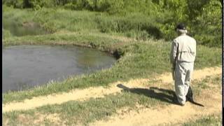 Training Retriever Puppies  Water drills Cut the Corner  ReEntry Water work [upl. by Itsirc951]