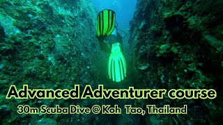 30m Deep Dive  Advanced Adventurer Open Water Course clip  Scuba Diving  Koh Tao Thailand [upl. by Hrutkay76]