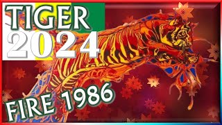 ✪ Tiger Horoscope 2024 ➤ Fire Tiger 1986  February 9 1986 to January 28 1987 [upl. by Ydnys]