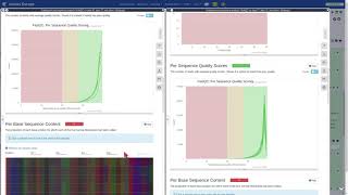 Handson miRNA differential expression analysis [upl. by Yetak]