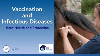 Vaccinations amp Infectious Diseases in Horses [upl. by Ahcsas]