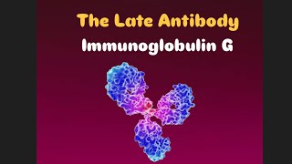 Immunoglobulin G [upl. by Burnside]