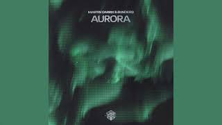 Martin Garrix amp Blinders  Aurora Extended Mix [upl. by Brenna]