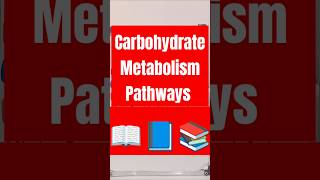 Carbohydrate Metabolism Pathways carbohydratemetabolismbiochemistry carbohydratemetabolism short [upl. by Maegan729]