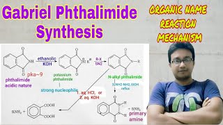 Gabriel Phthalimide Synthesis  organic name reaction mechanism Gabriel phthalimide trick  IIT JEE [upl. by Adnuahsar]