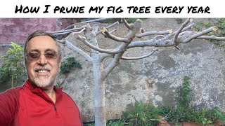 Pruning my fig tree [upl. by Atiruam]