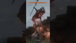 Boss cheese sekiro bossfight fromsoftware soulslike sekiroshadowsdietwice cheese [upl. by Euqnimod]