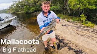 Catching Big Flathead  Mallacoota day 1 [upl. by Ainezey]