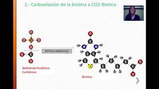 Tudo sobre a Biotina e se ela funciona para crescimento de Barba [upl. by Gean]