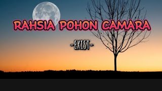 Exist  Rahsia Pohon Cemara [upl. by Schnapp]