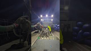 offloading pollock from a dragger alaskafishing shorts boatlife trident seafood crew [upl. by Willette110]