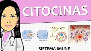 Imunologia 03  Citocinas Imunidade inata  Vídeo aula de sistema imune [upl. by Eeral]
