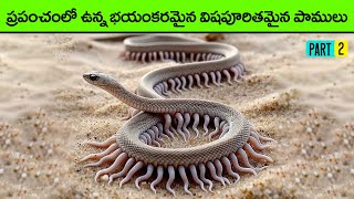 🔵 డేంజరస్ పాములు  Most Venomous Snakes in the World in telugu part 2  high venom snakes  animals [upl. by Ehctav839]