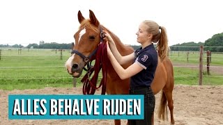 Wat kan je met je paard doen zonder te gaan rijden [upl. by Mayberry]