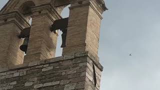 le campane di assisiPGsantuario di san damiano [upl. by Ayifas]