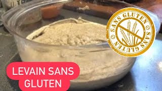 COMMENT FAIRE SON LEVAIN NATUREL À LA FARINE DE SARRASIN  EXPLICATIONS JOUR APRÈS JOUR 🍞😋 [upl. by Oremoh71]