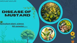 Common Diseases of Mustard Plants [upl. by Reine]