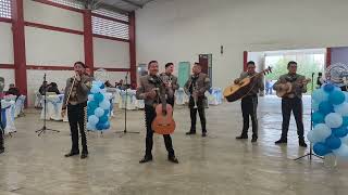 Gema  Mariachi Galleros de México inf 5536649458 [upl. by Dotty642]