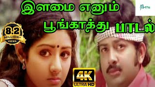 Solai kuyil padumசோலைக்குயில் பாடும்Anantha poongatreTamizh HD Songs [upl. by Bathilda]