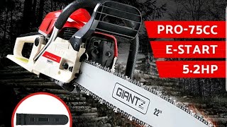 Assembling the 22in Gaintz chain saw from Ebay [upl. by Divadnhoj]