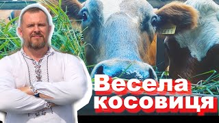 Весела косовиця  Травецький [upl. by Ekoorb]