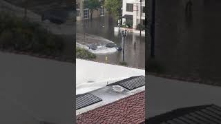 Tesla Plows Through Flooded San Diego Street [upl. by Elisabeth]