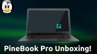 PineBook Pro Unboxing and First Impressions [upl. by Navonoj322]