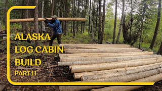 Building my DIY Alaska Off Grid Cabin in the forest ASMR [upl. by Ellerrad501]