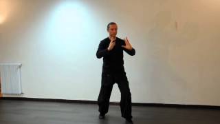 Tai Ji Qi Gong de Jiao Guorui extrait [upl. by Jaela]