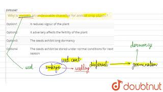 Why is vivipary an undesirable character for annual crop plants [upl. by Murielle]