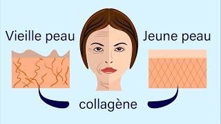 Collagène comment le prendre et Pourquoi [upl. by Shelman]