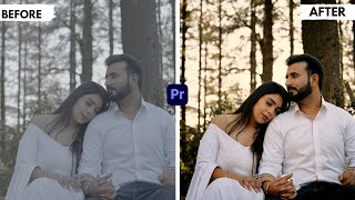 How to Create Golden Brown and Complementary Look With Premiere pro 2024 [upl. by Atiekram42]