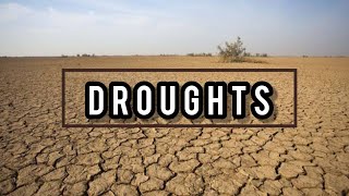 Droughts  Causes And Effects Of Droughts  Drought For Kids [upl. by Ahsata]